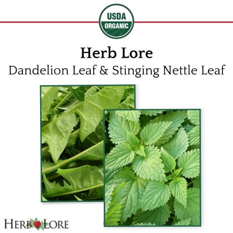 Close-up of fresh Dandelion Leaf and Stinging Nettle Leaf with USDA Organic seal for Herb Lore tincture ingredients Close-up of fresh Dandelion Leaf and Stinging Nettle Leaf with USDA Organic seal for Herb Lore tincture ingredients