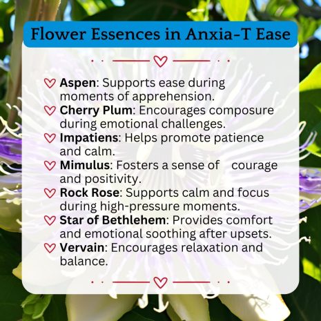 Flower Essences in Anxia-T Ease Flower Essences in Anxia-T Ease