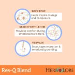 Flower Essences in Res-Q Blend - 2