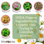 Herbs in Pre-Conception Tincture
