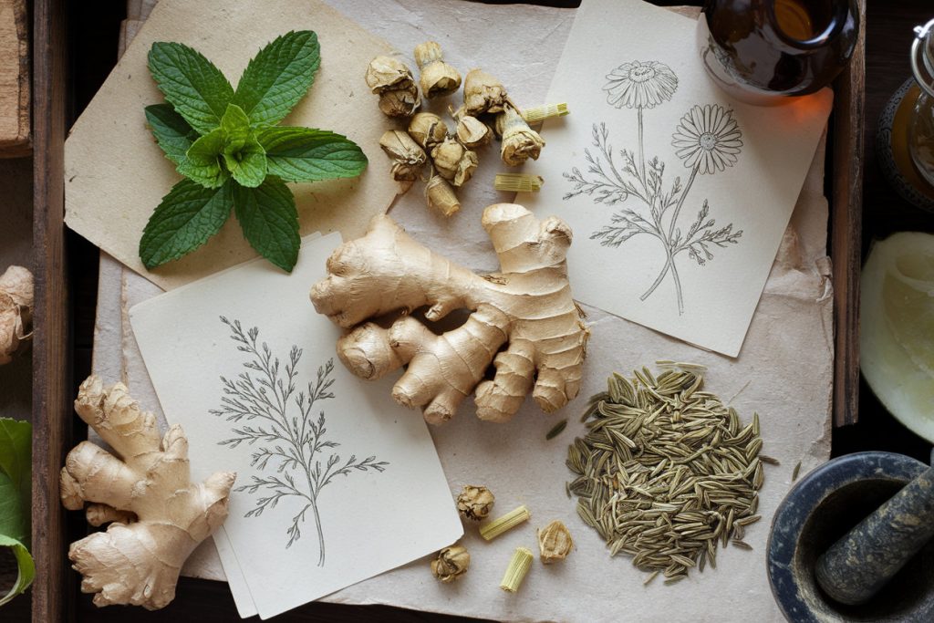 Dried herbs and botanical notes arranged as a natural remedy display on handmade paper.